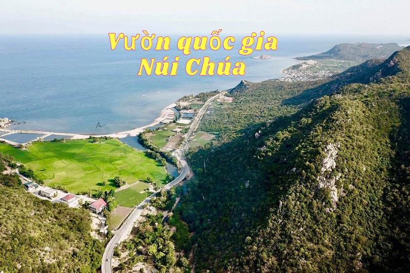 Vườn quốc gia Núi Chúa điểm đến hấp dẫn tại Ninh Thuận